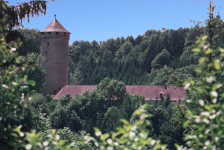 Schloss Wildberg (Riedl)